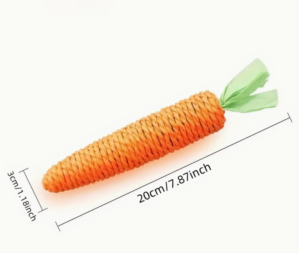 Pet Chew Toy - Carrot