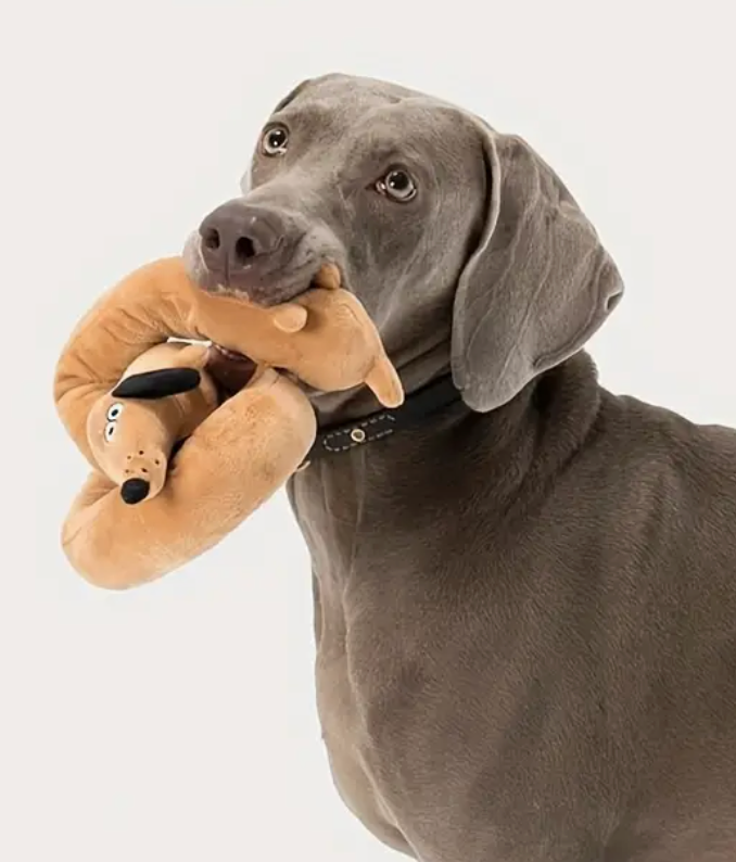 Soft Pet Toy - Looong Dog