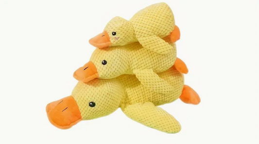 Soft Pet Toy - Duck