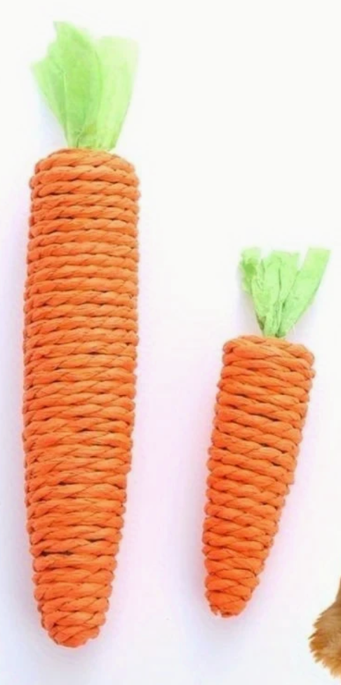 Pet Chew Toy - Carrot