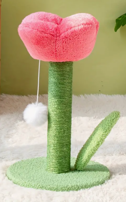 Cat Scratch - Tulip
