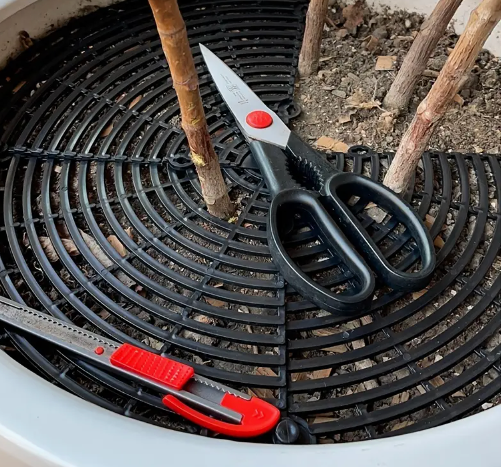 Keep Your Plants Safe